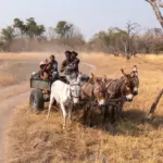 Hvor kan jeg finde inspiration til at dekorere min barvogn og gøre den ekstra indbydende?